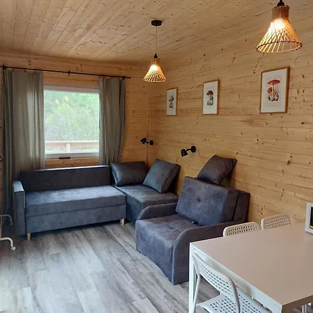 Деревянный коттедж Przystanek