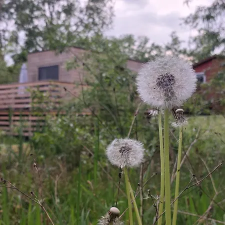 Lodge Przystanek